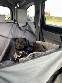 Husband and self loved hotel and breakfast