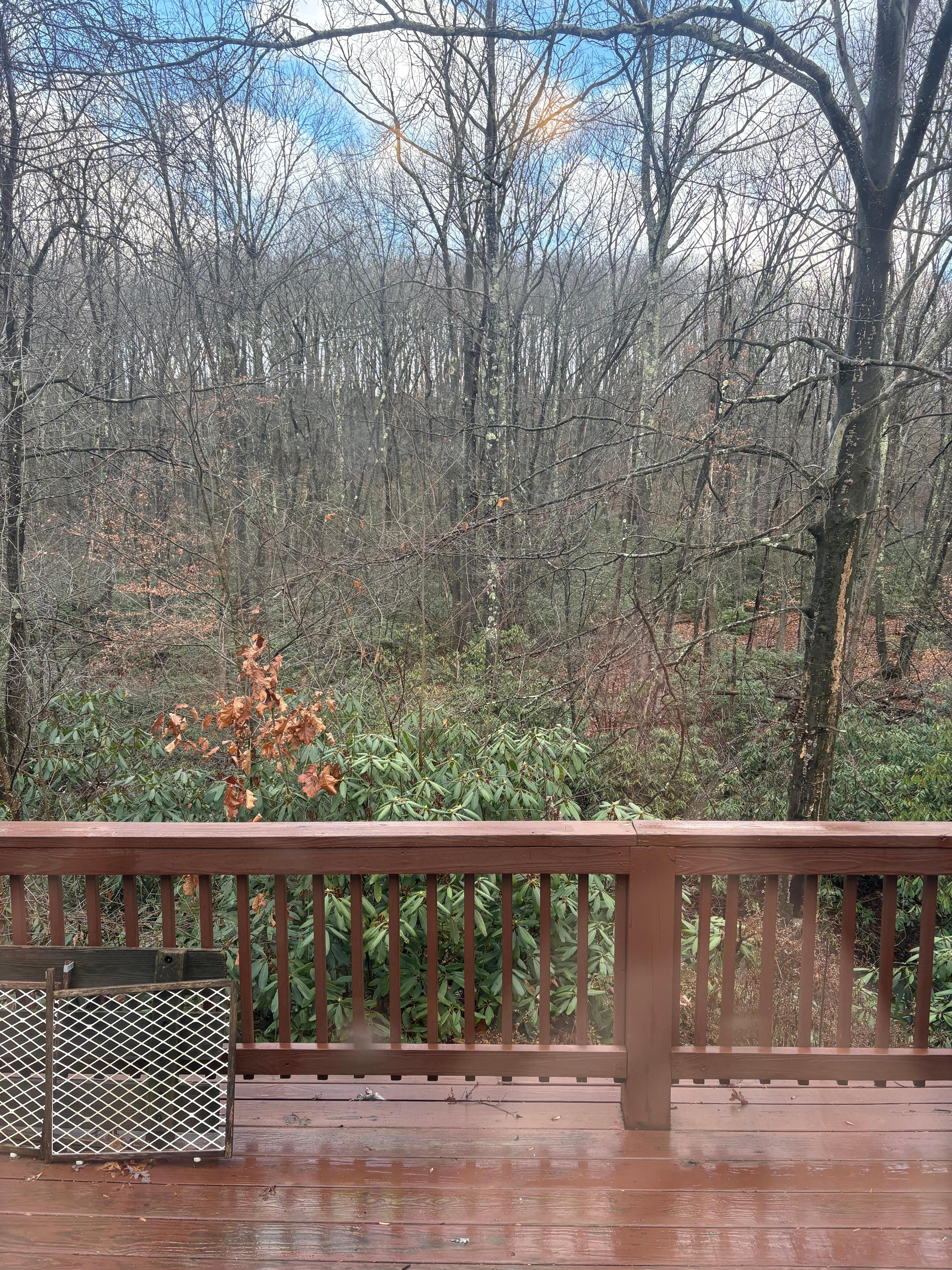 Just one of the fabulous views! 