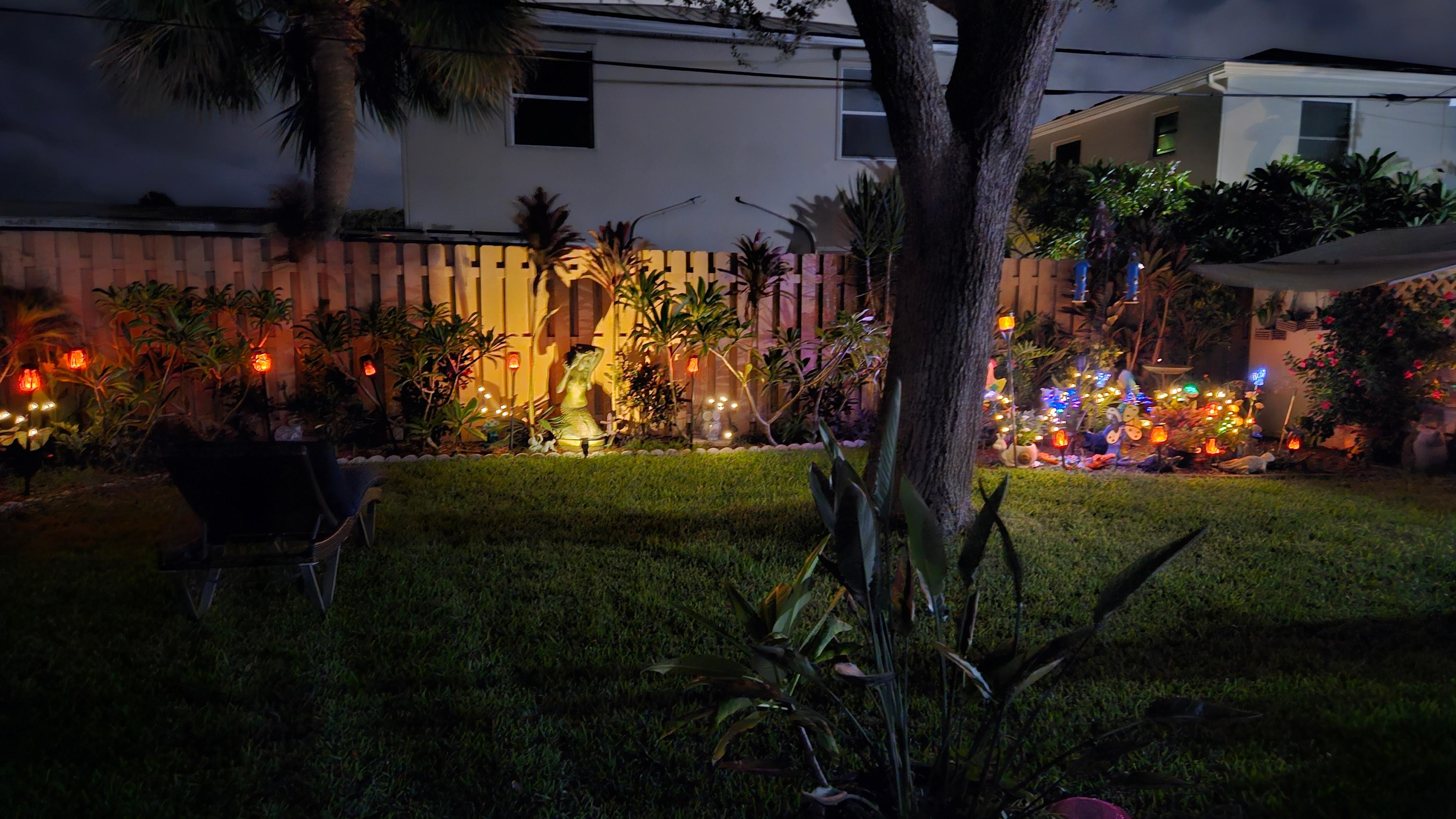 Backyard at night