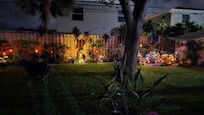 Backyard at night