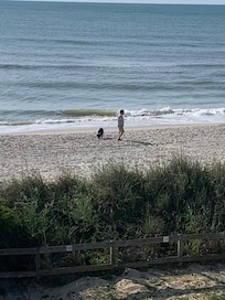 Dogs allowed before 9am or after 5pm.  Family friendly beach & unit.