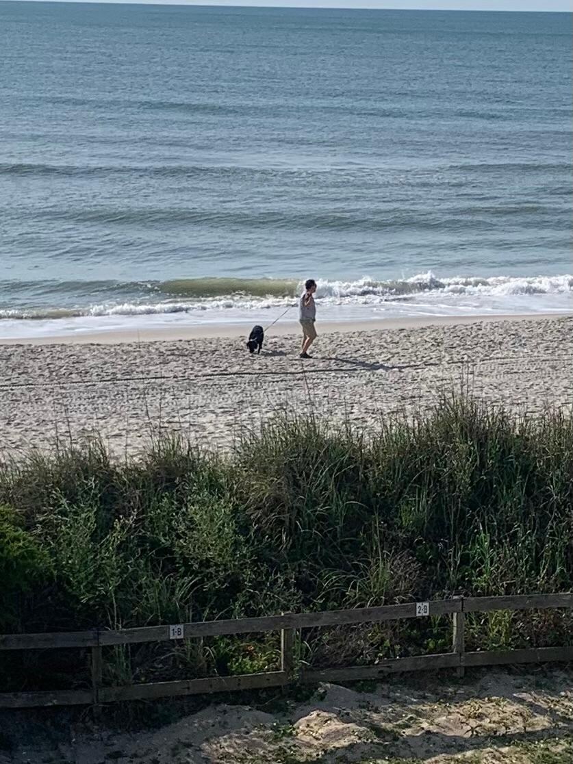 Dogs allowed before 9am or after 5pm.  Family friendly beach & unit.  