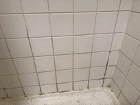 Mold in shower