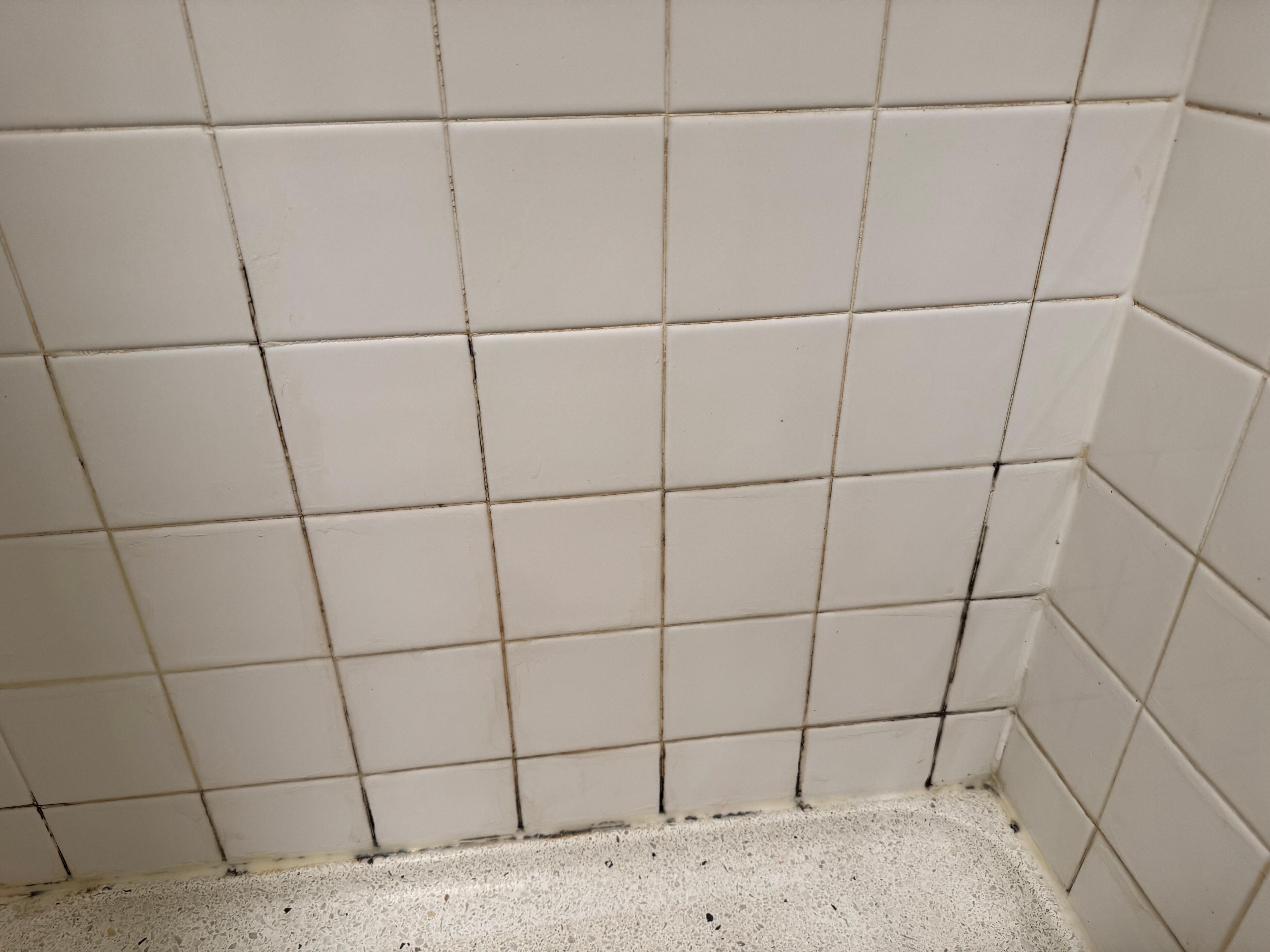 Mold in shower