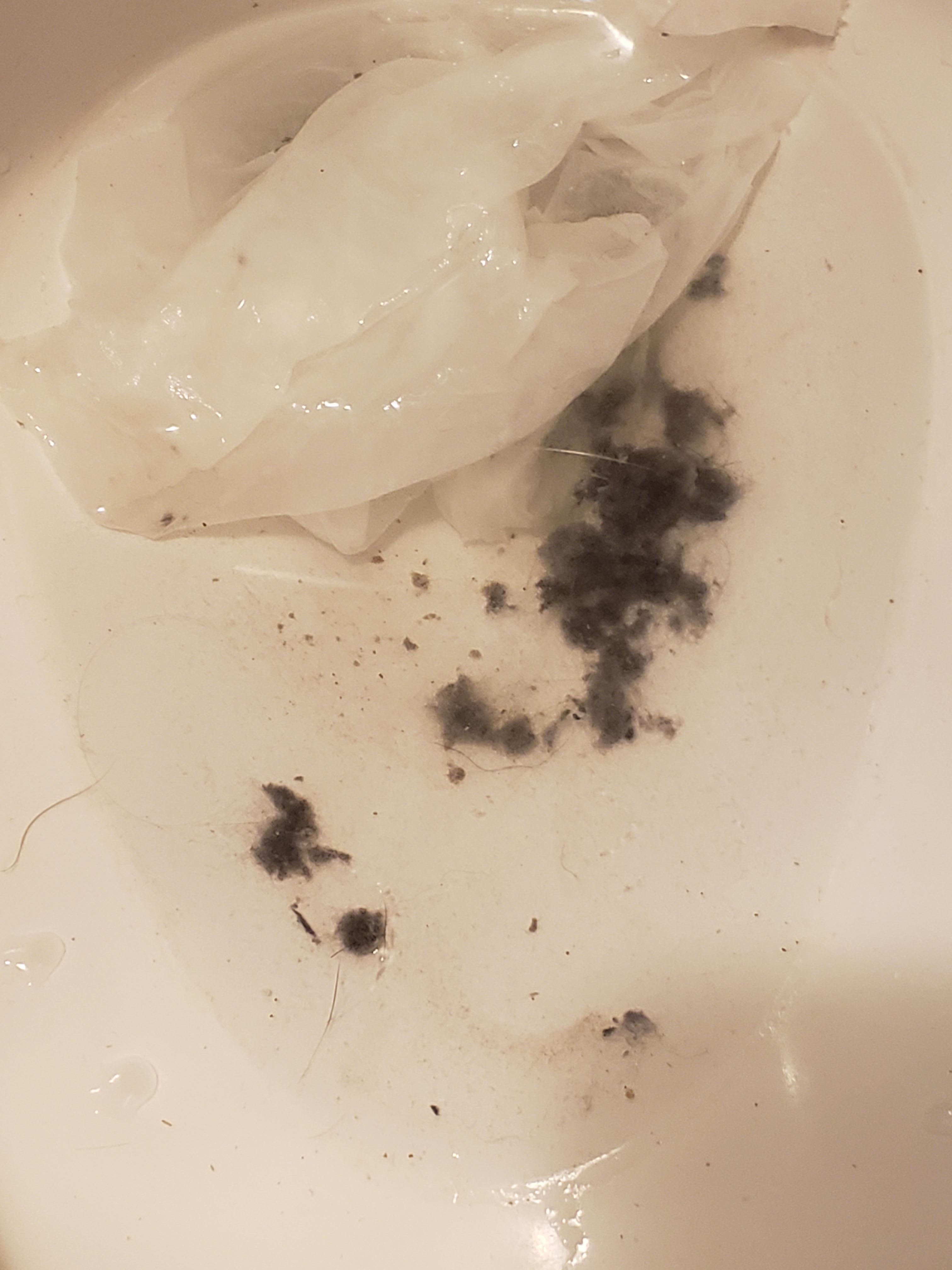 Part of what I cleaned out of the slots on air conditioner/heater