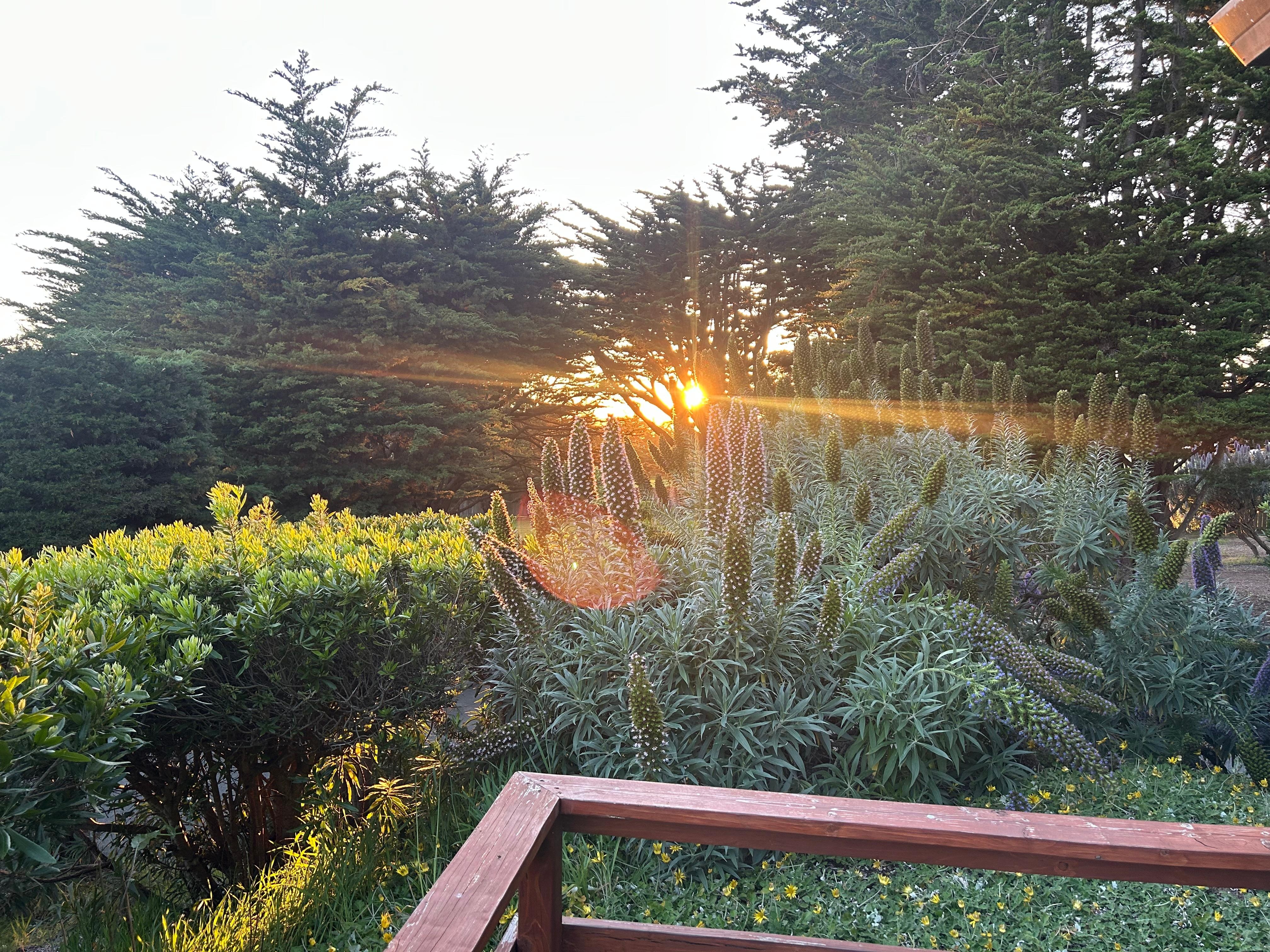 View from our porch. 