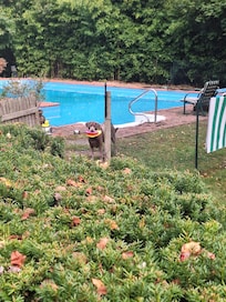 Every morning, waiting patiently to play frisbee!