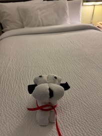 Added touch from the housekeeper <3