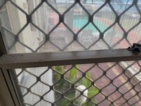 Dusty window ledges