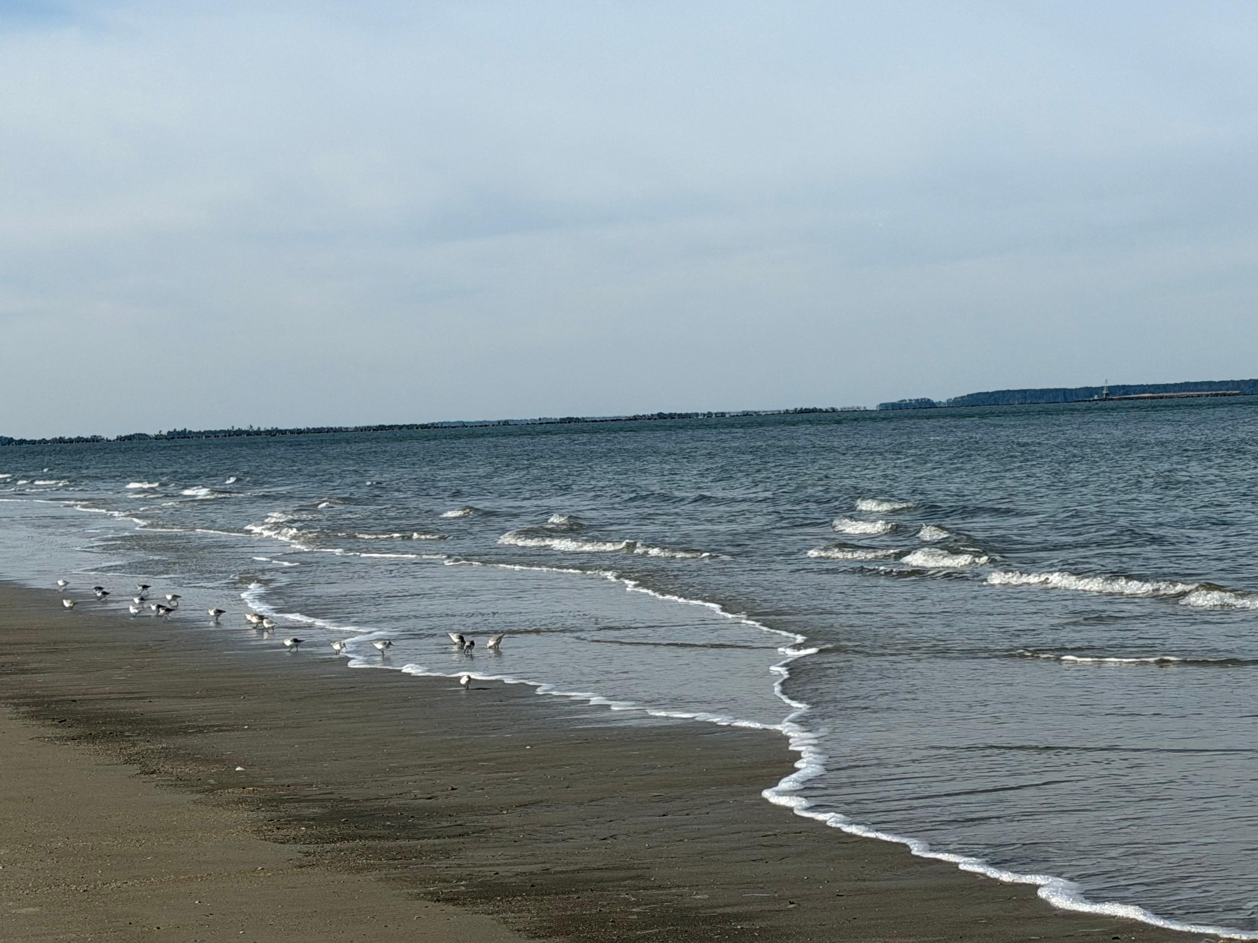 the beach in front of the condo