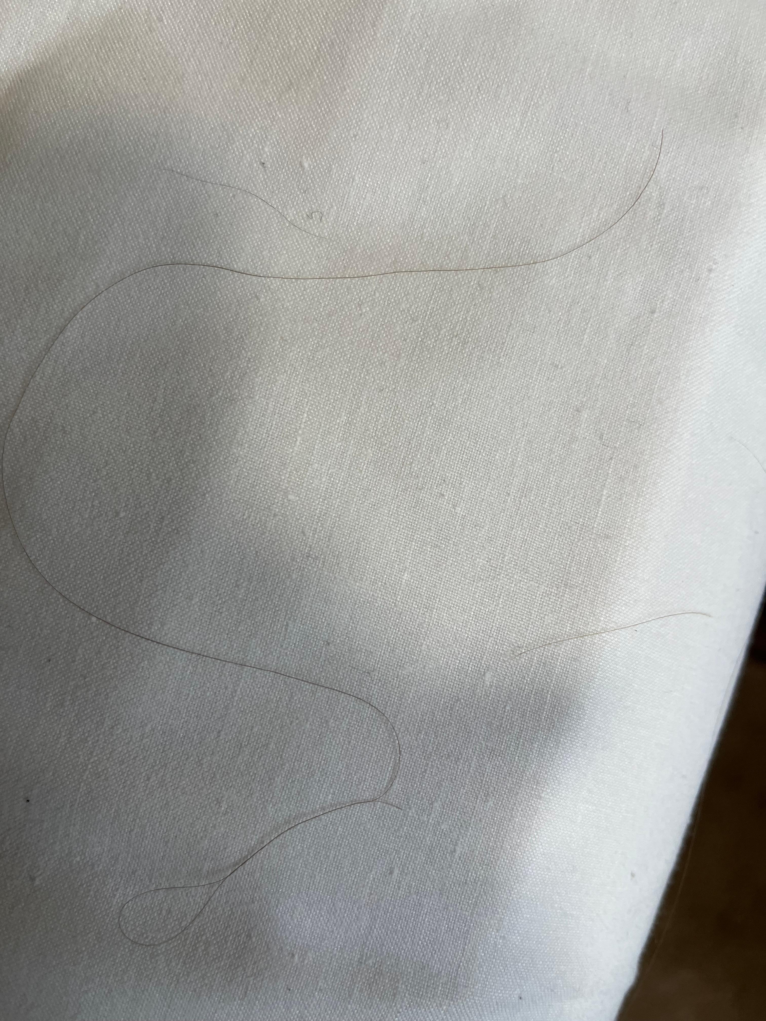 Hairs on bed linnen