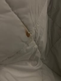 Blood on the blanket that the hotel attempted to say was rust.