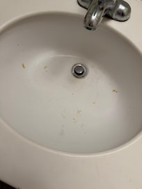 Stuff all through sink