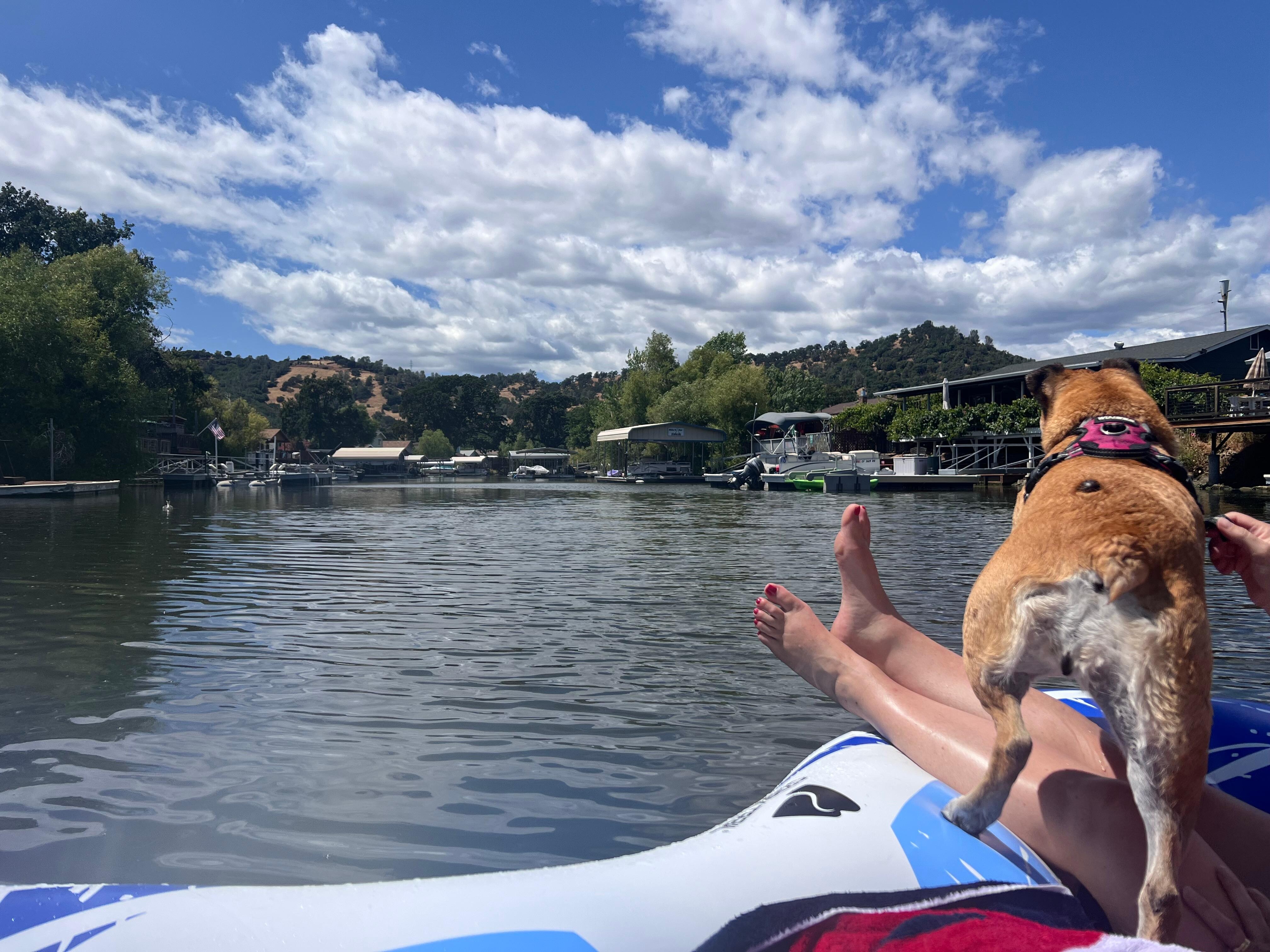 Water temp is great, however, water is very murky and has a distinct smell.