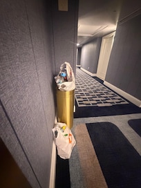 Overflowing garbage