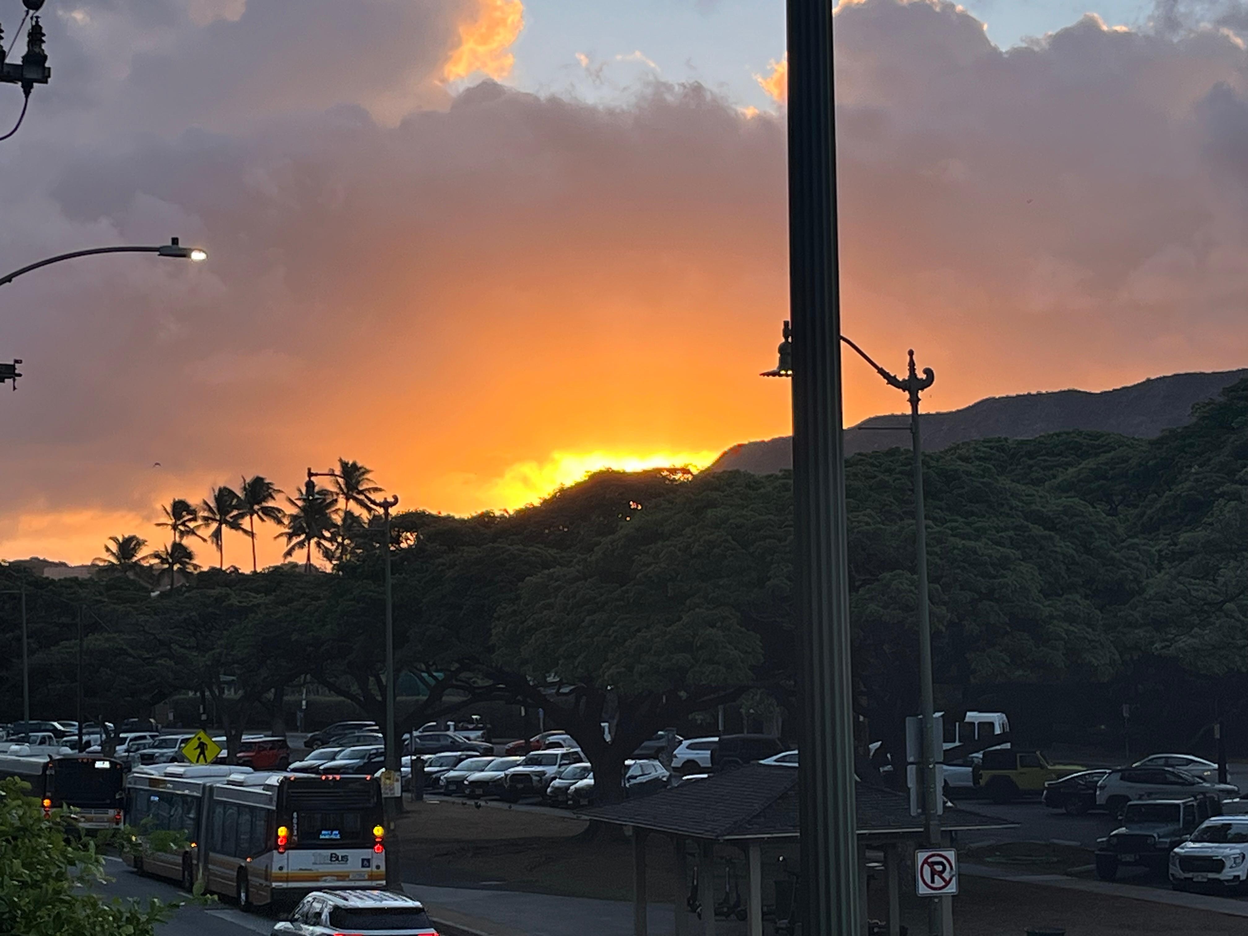 View from my room in the morning. 