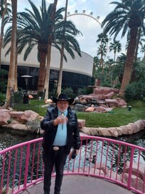 Flamingo my sister staying there