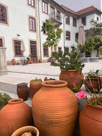 View from the garden