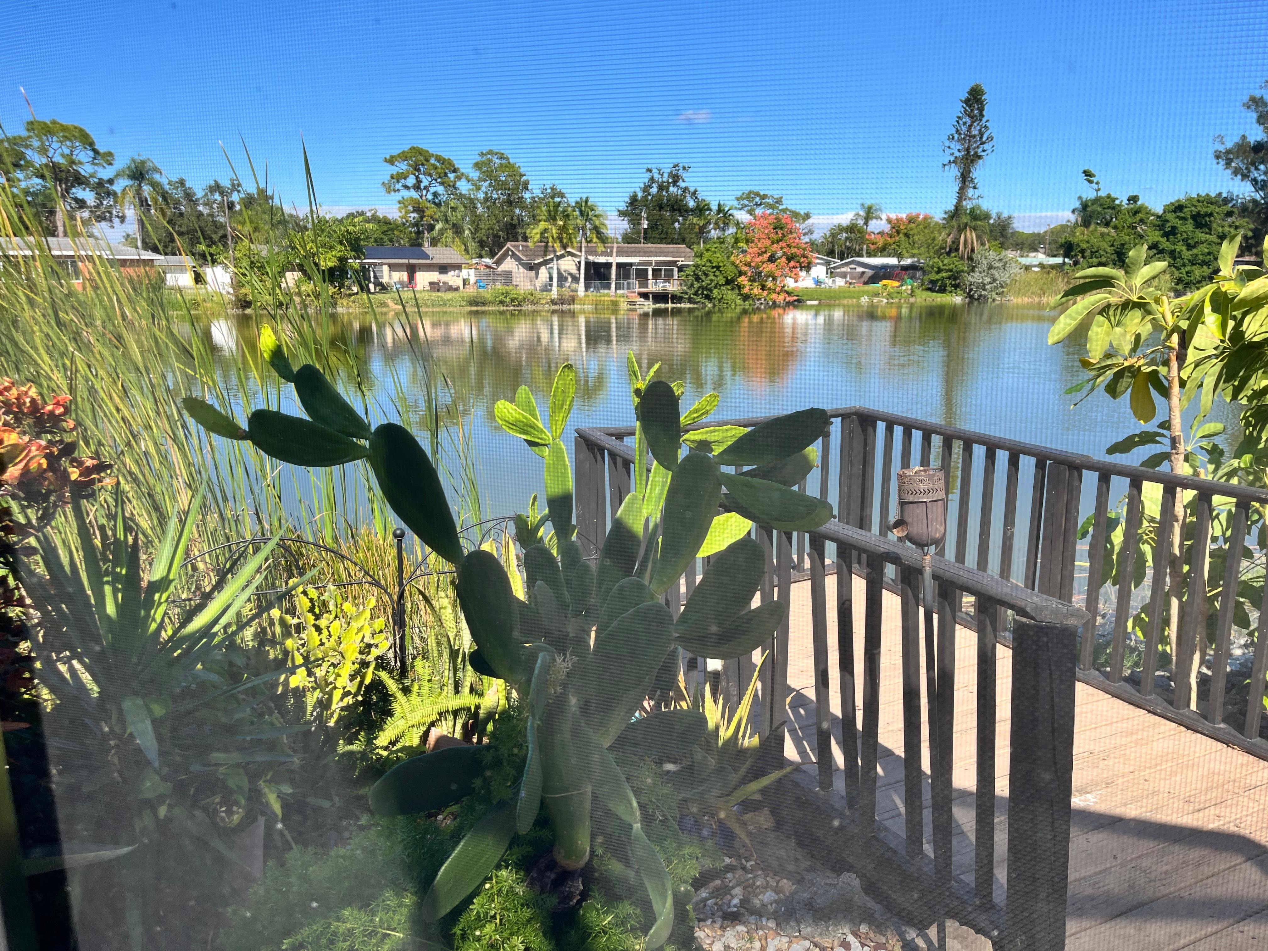 View from lanai