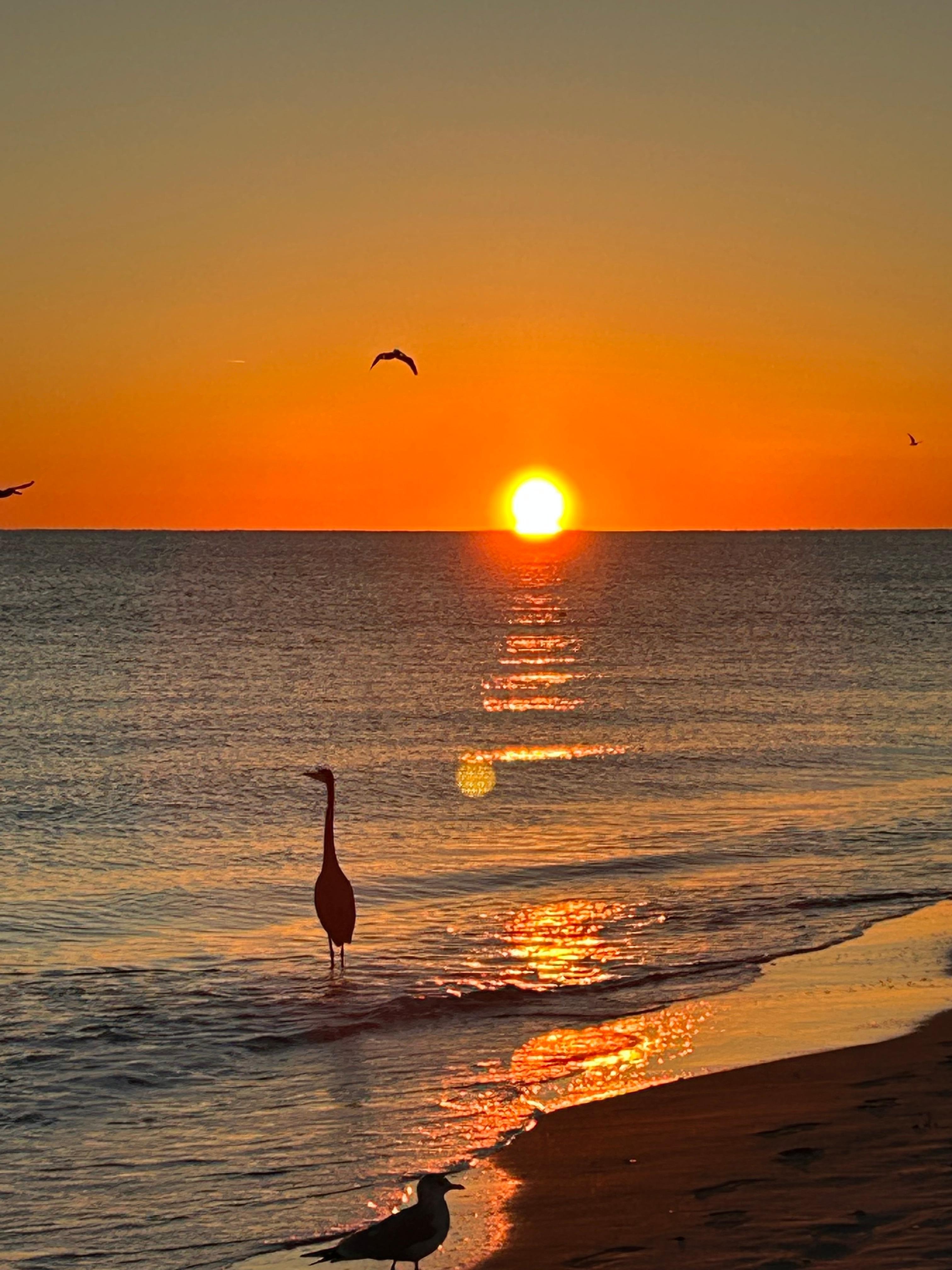 Sunset at beach house 