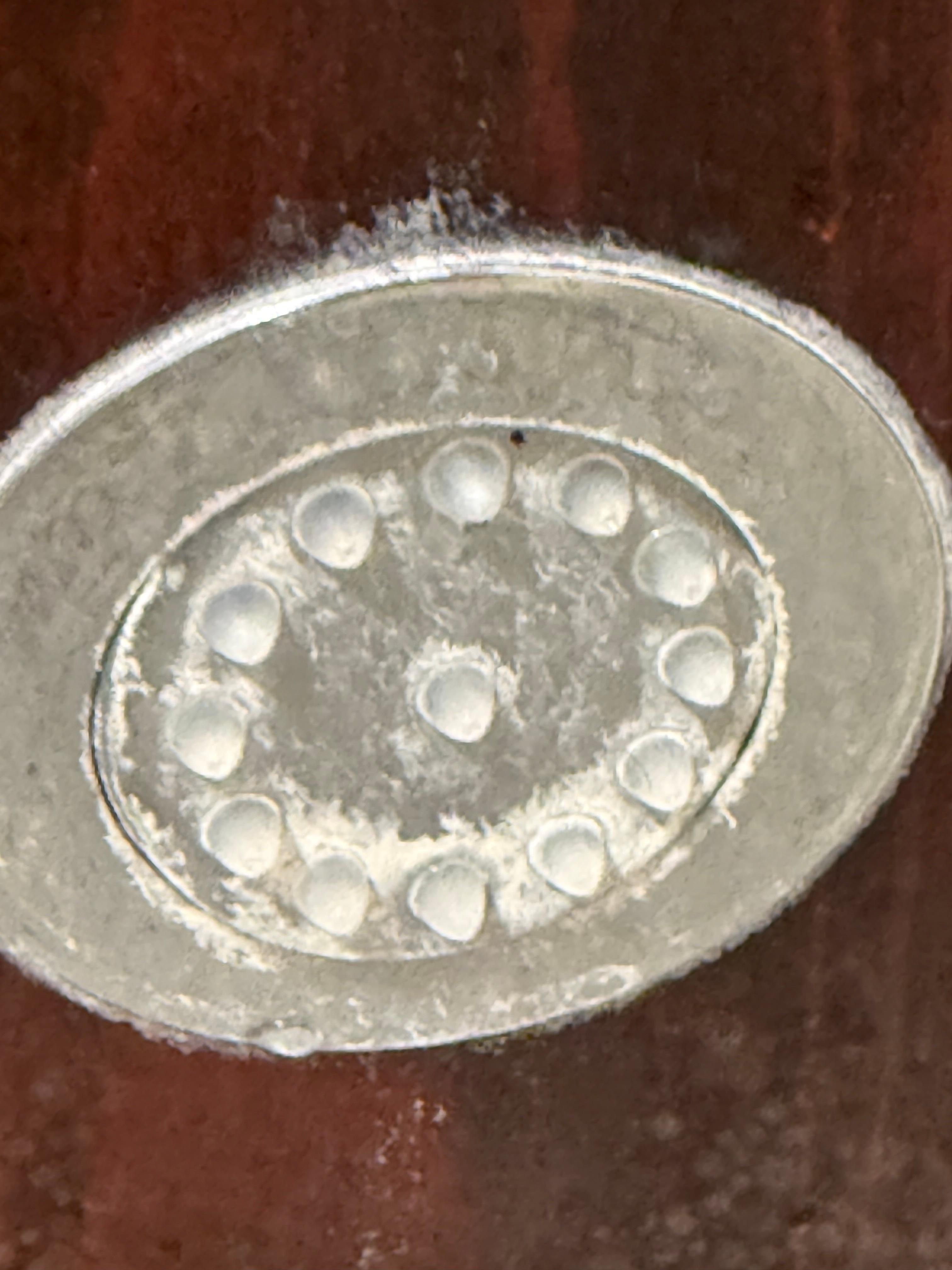 Clogged side shower heads