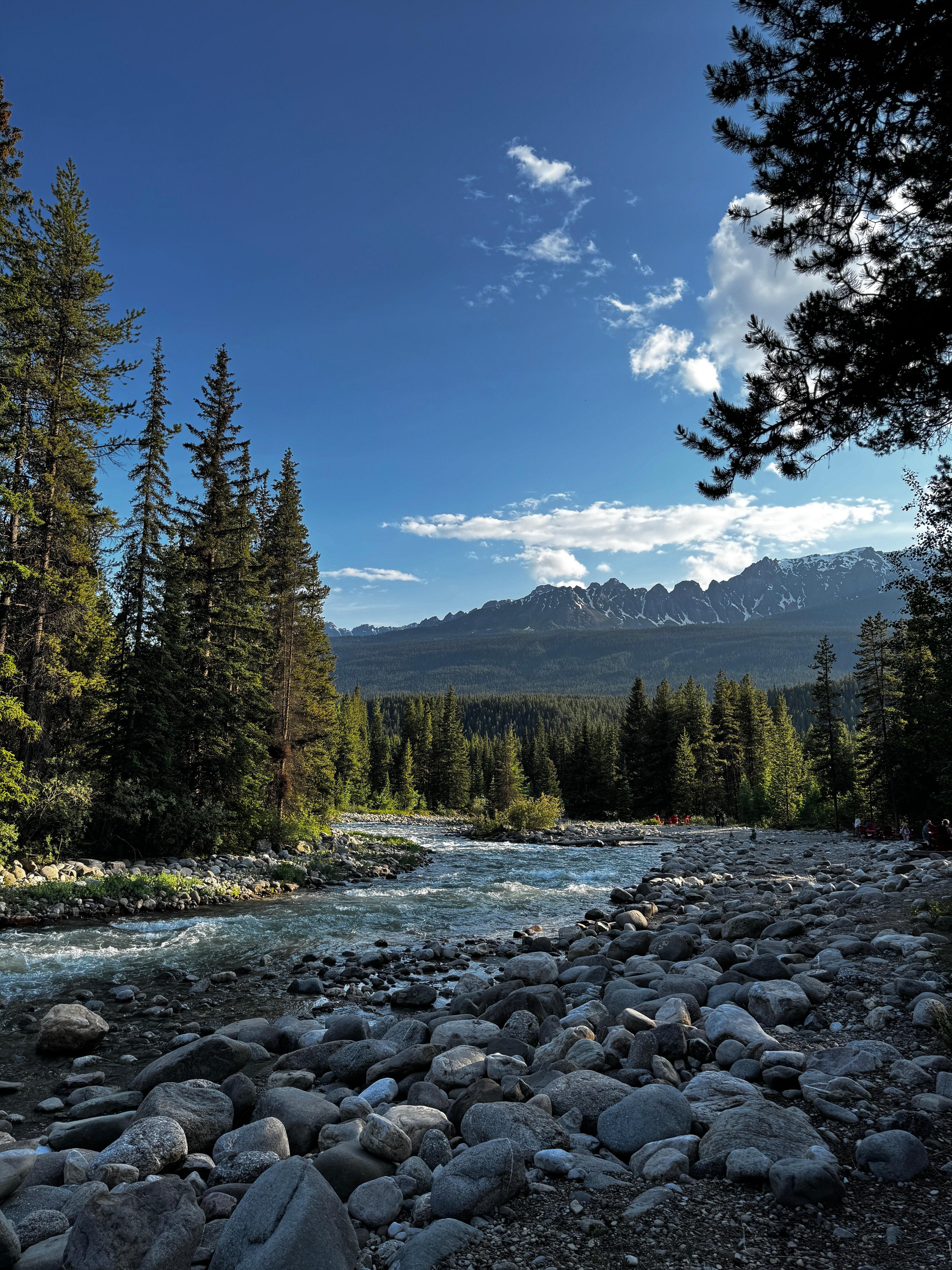 River beside lodge 