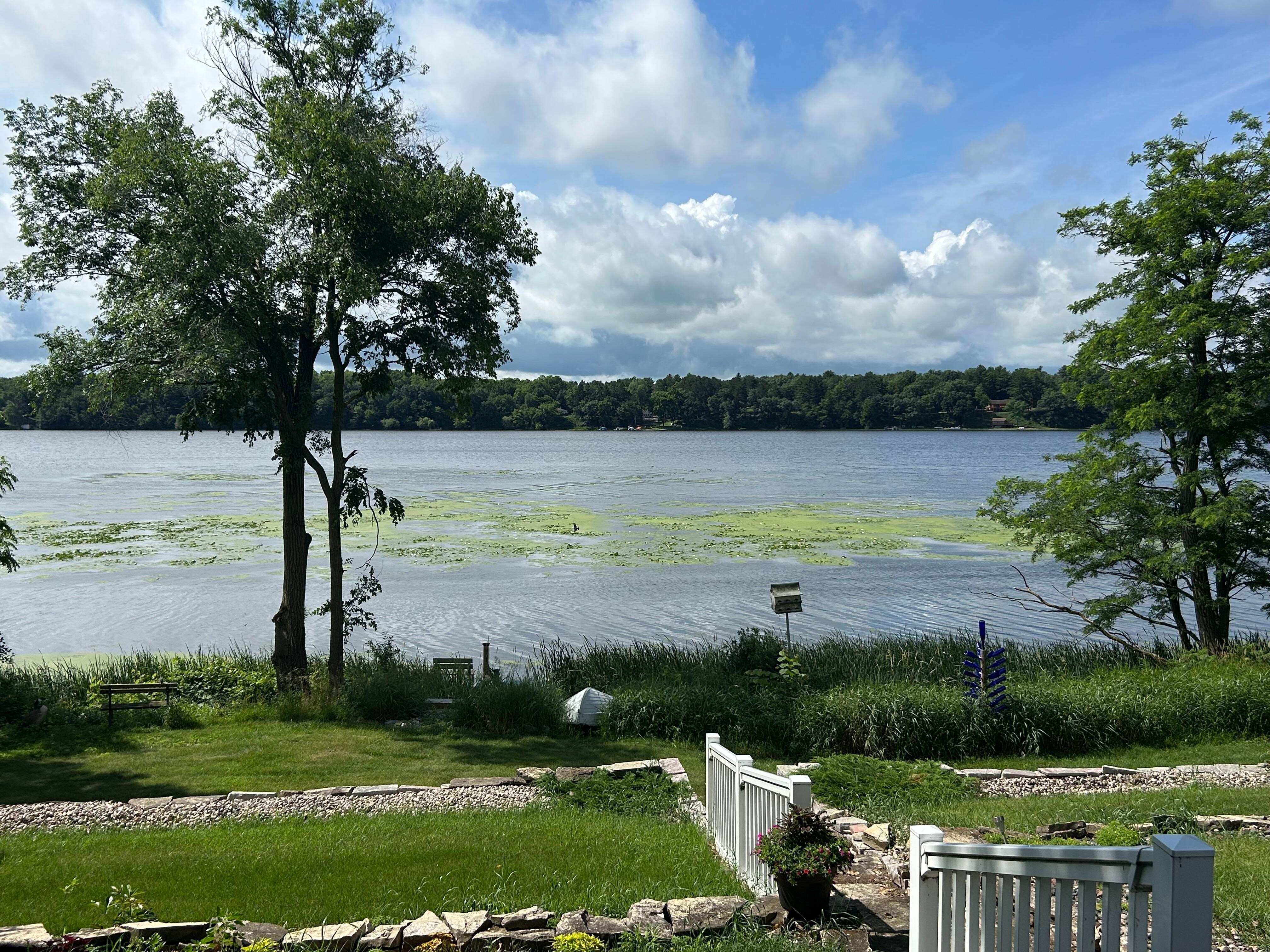 View from the back of the house 