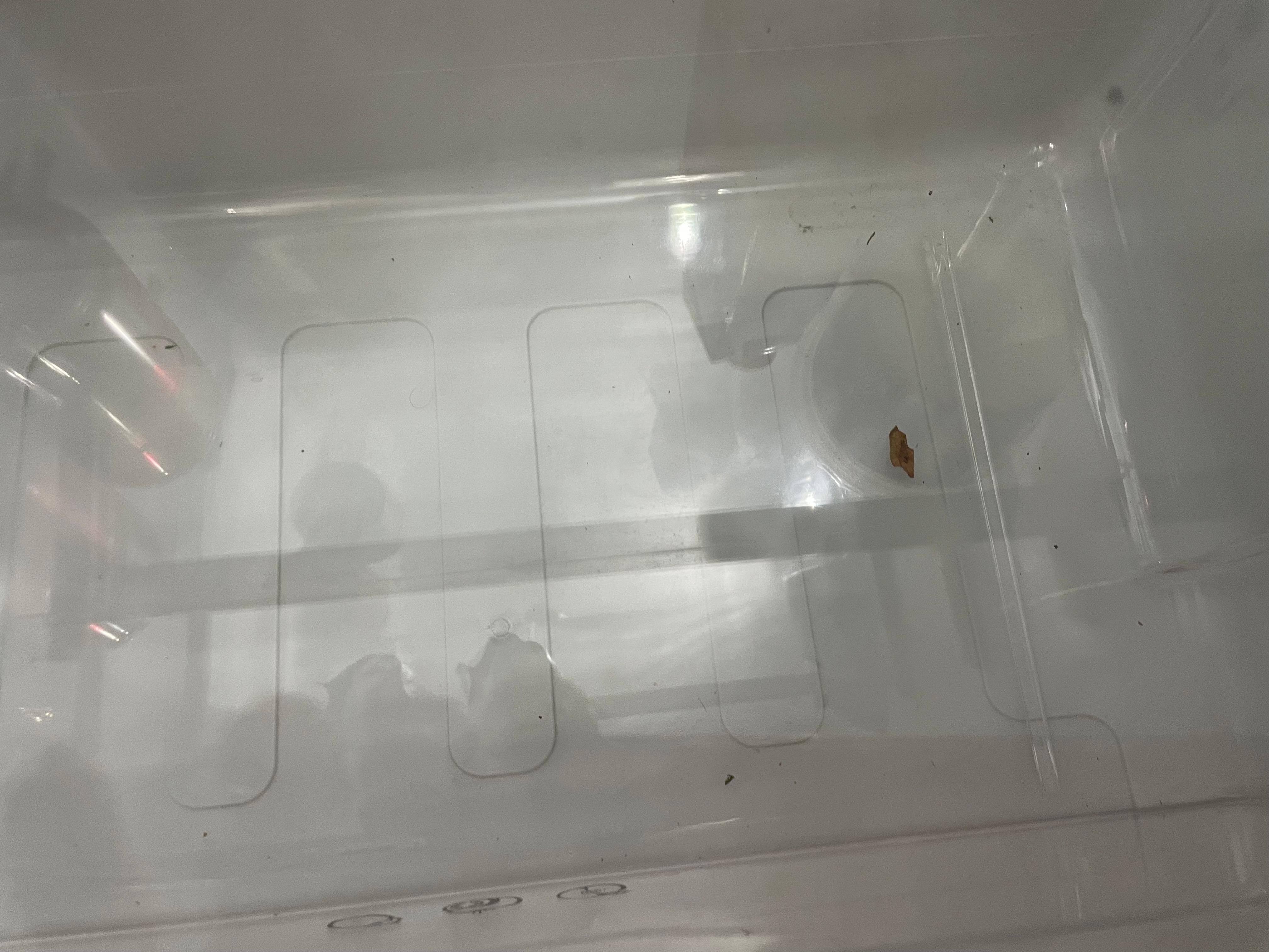 Dirty fridge, ice box was frosted up