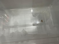 Dirty fridge, ice box was frosted up