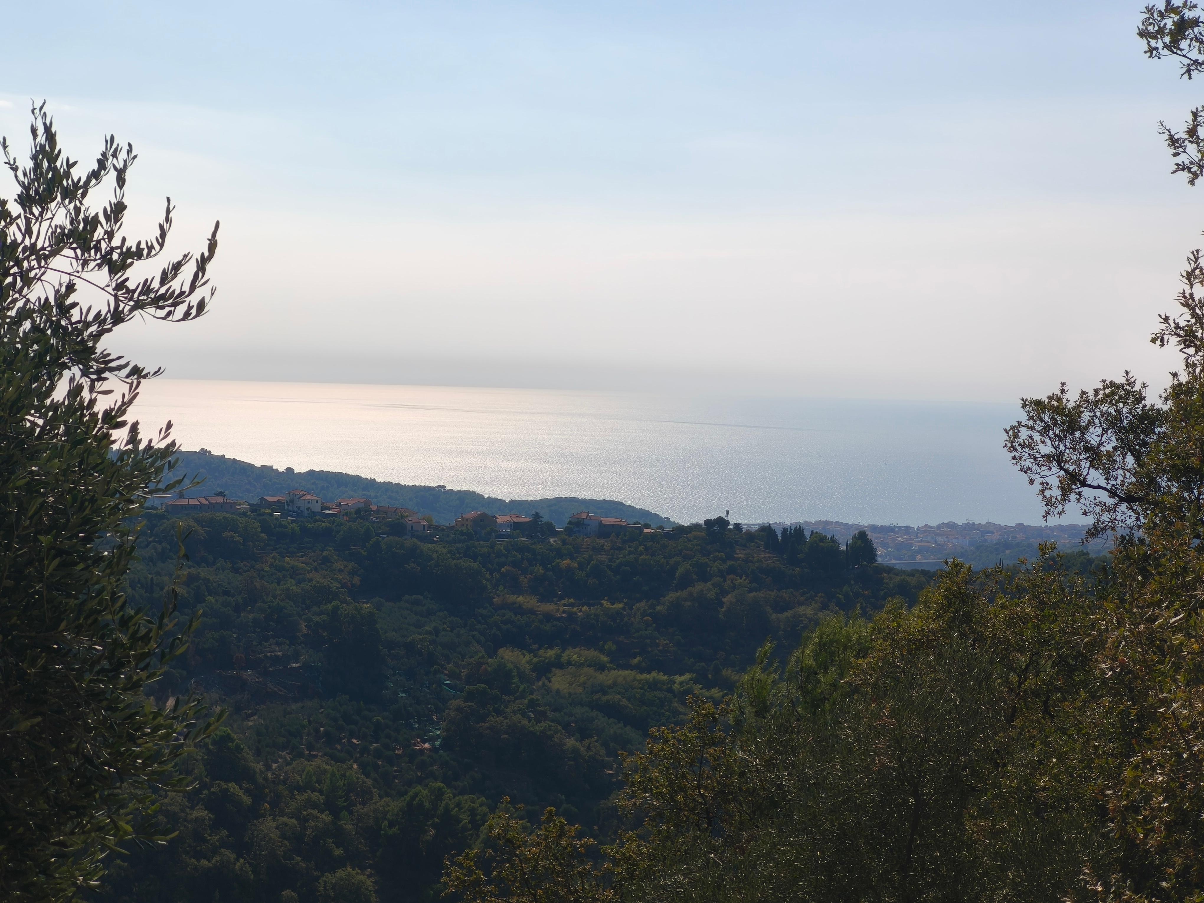 Magnifique vue panoramique 