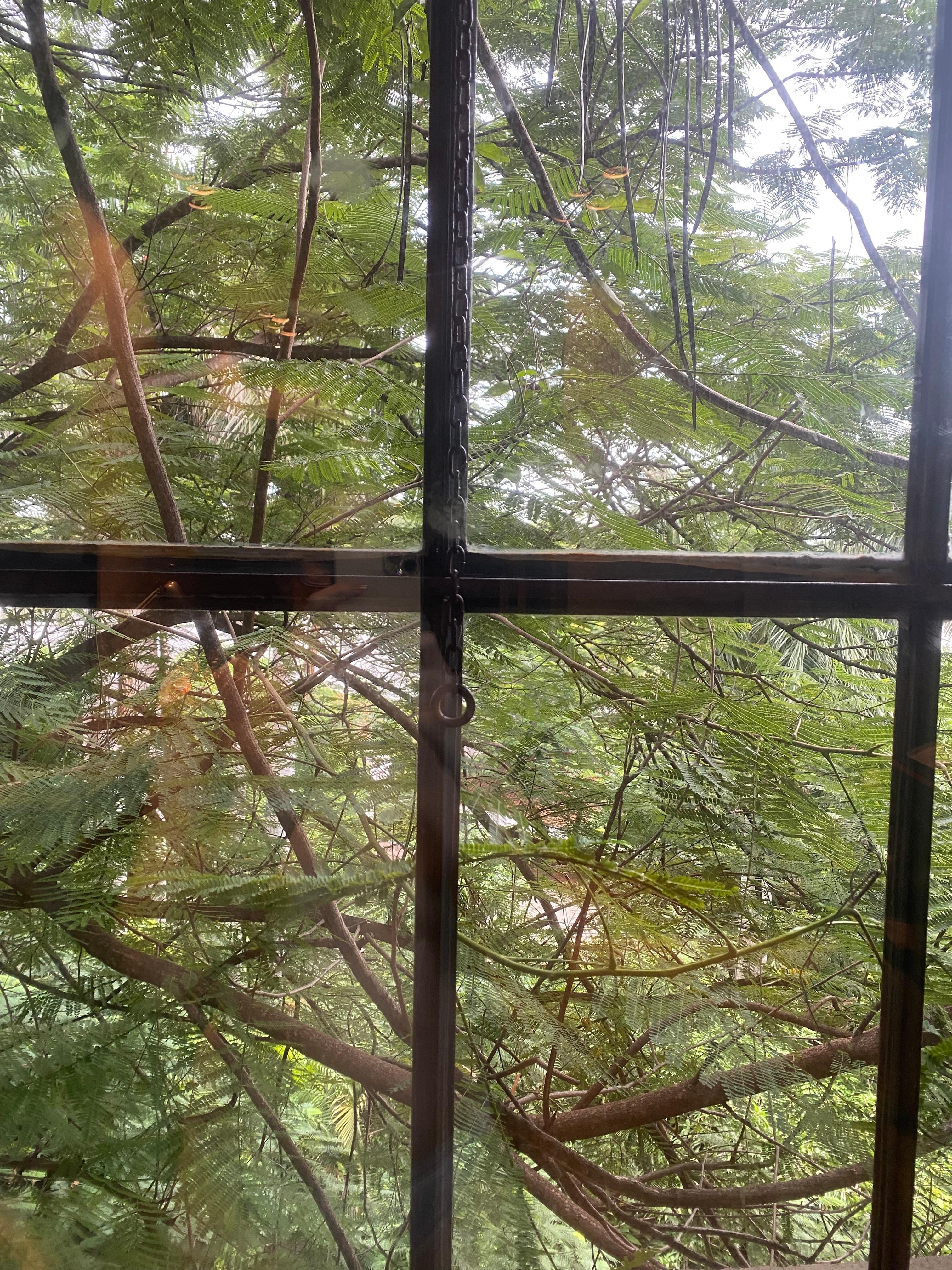 Vista da janela do 303