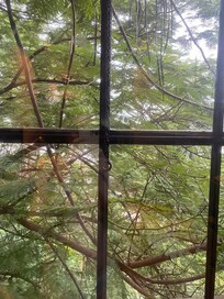 Vista da janela do 303