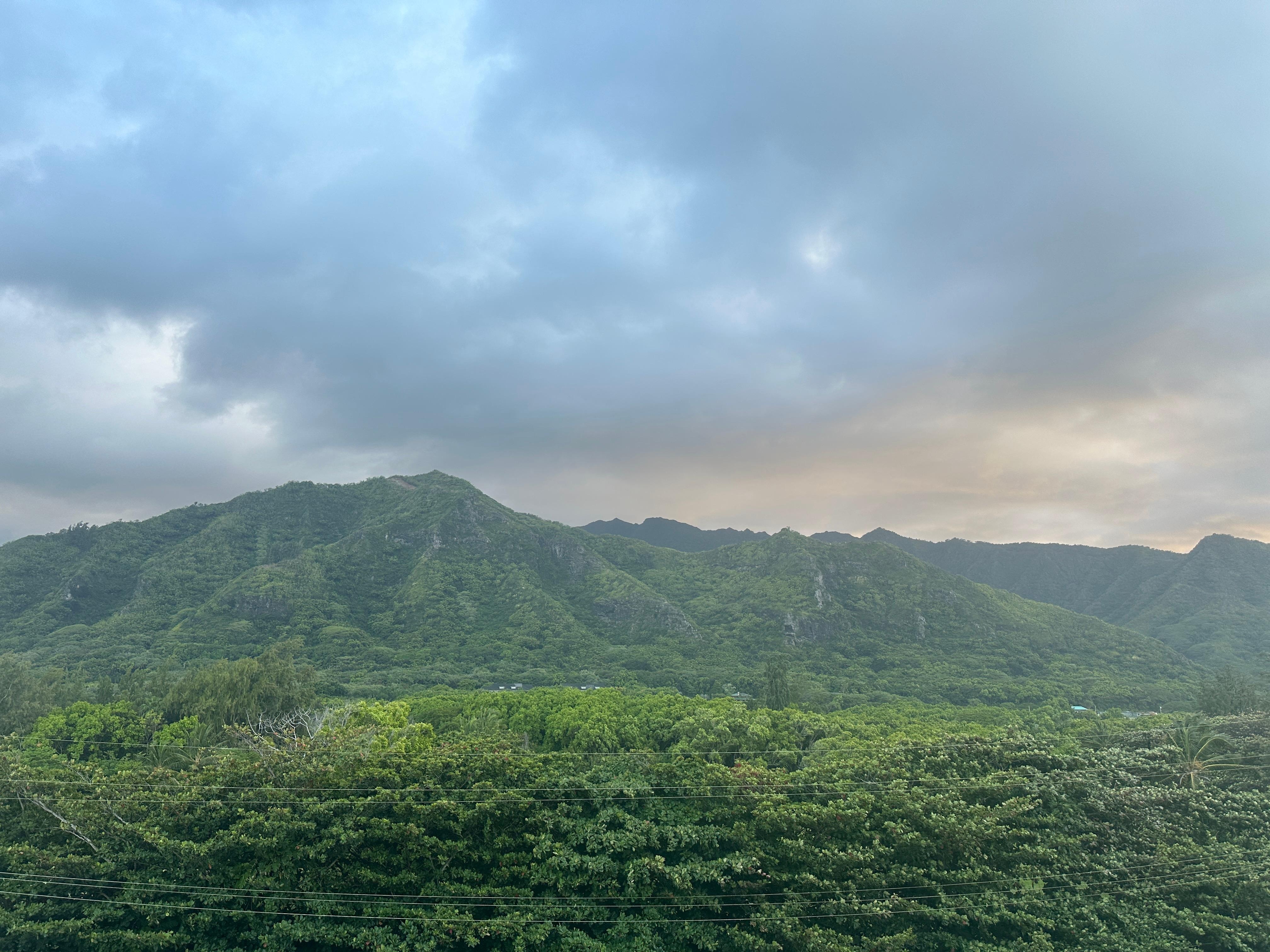 View from front door!