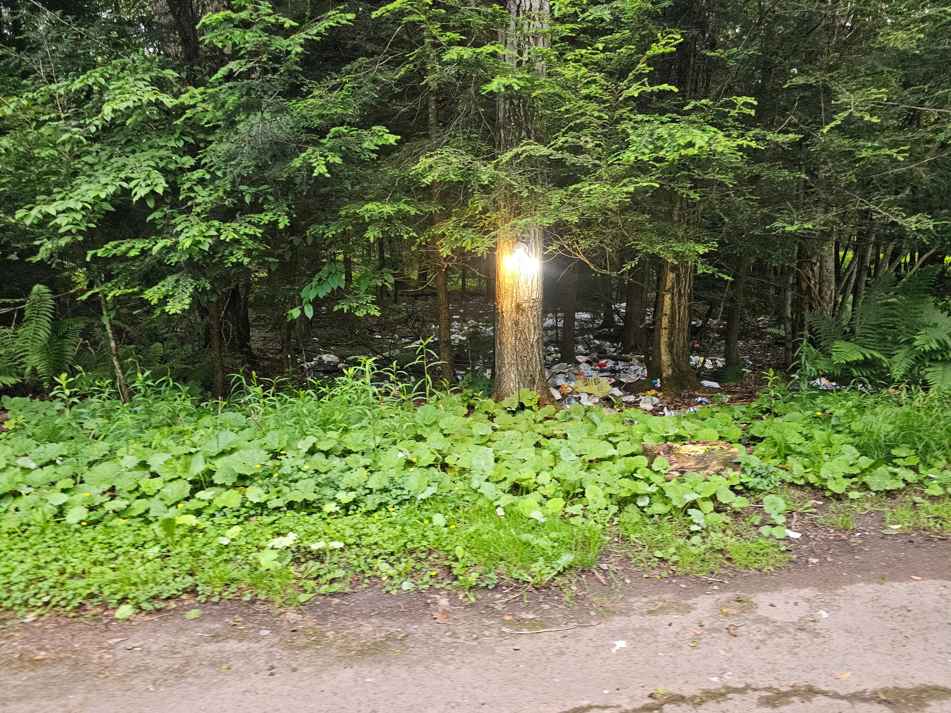 Trash all in front of the building