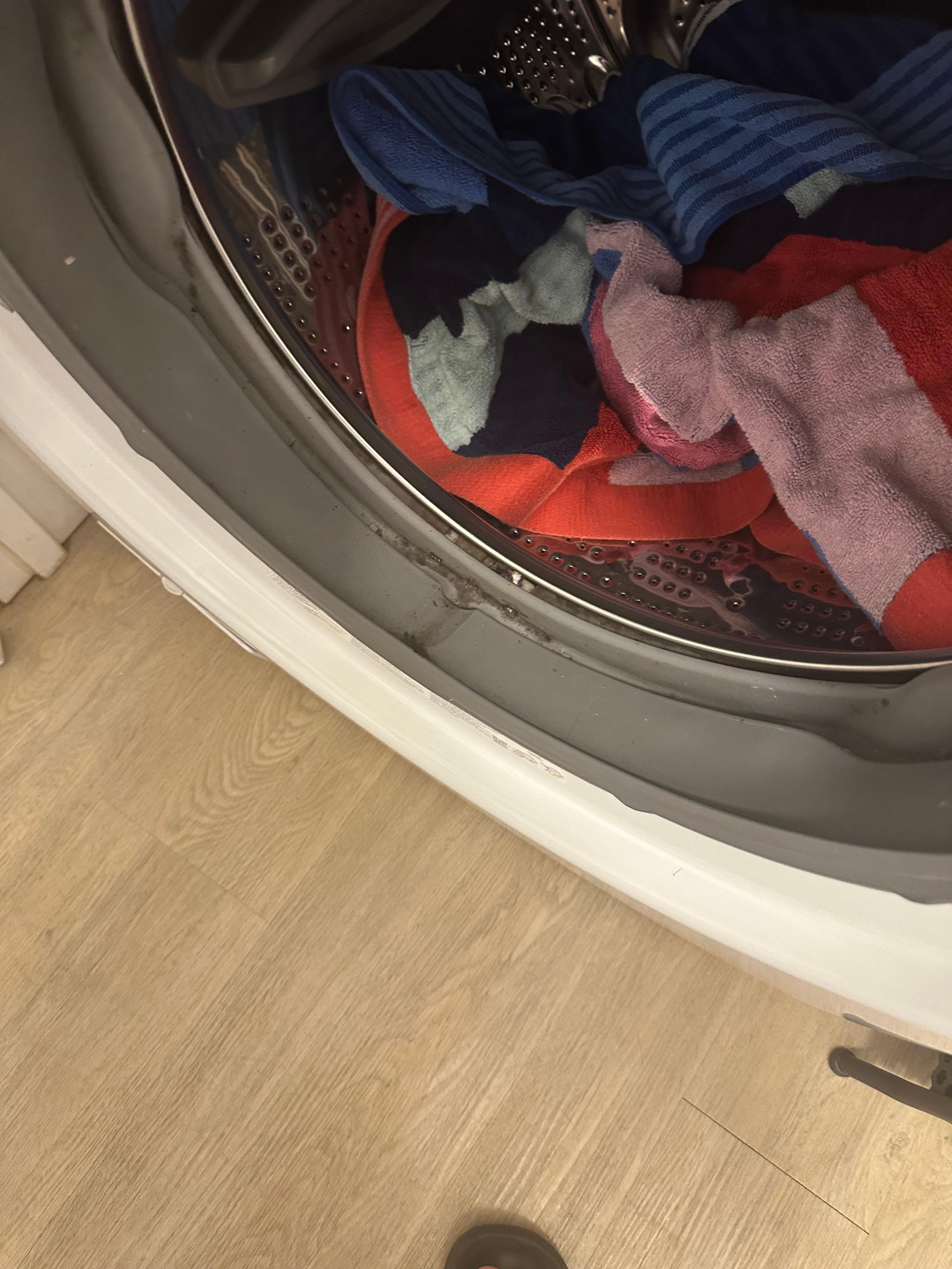 Moldy washer and didn’t work 