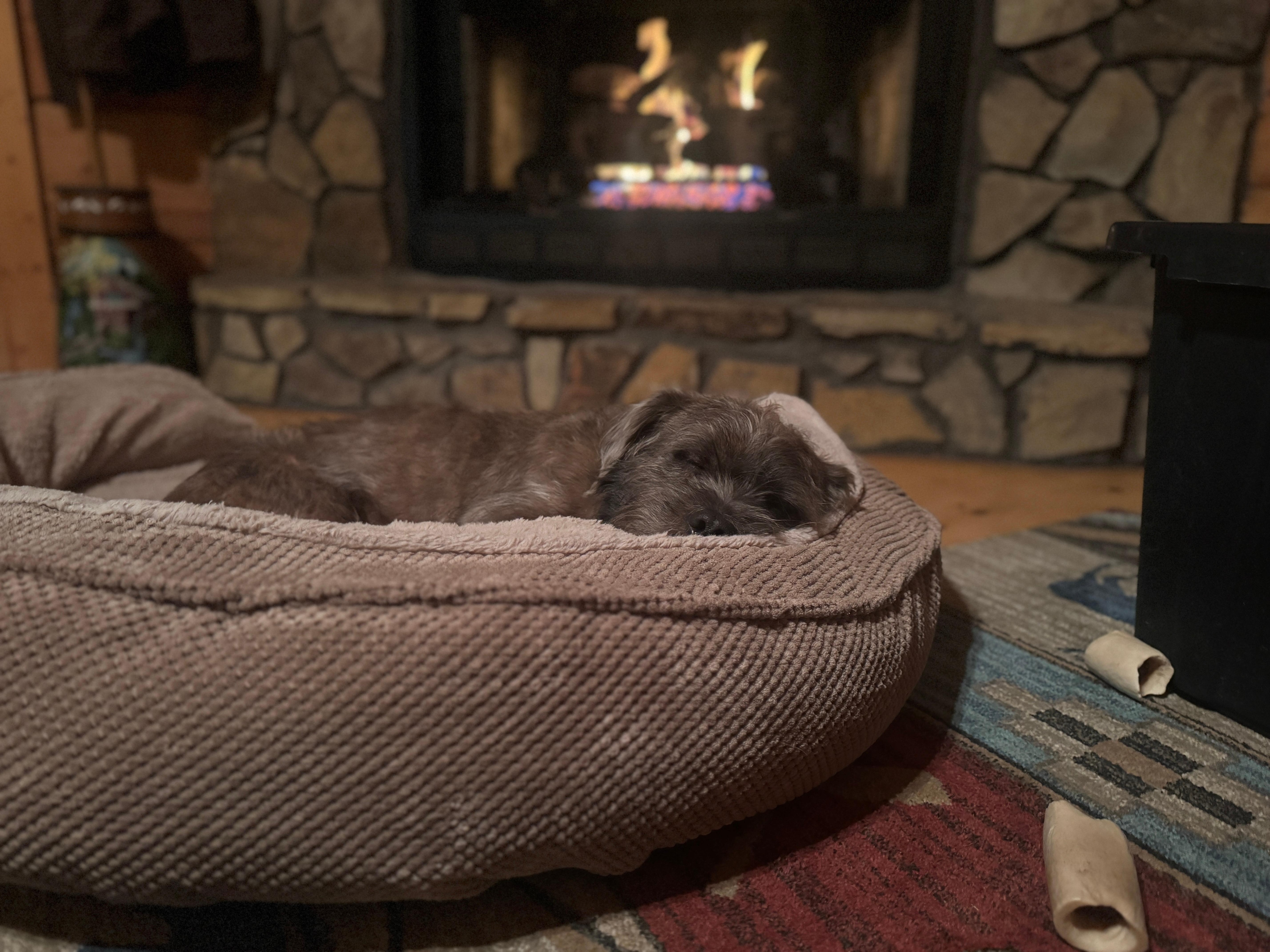 Pooped pupper living his best life by the fire