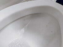 Poop inside toilet