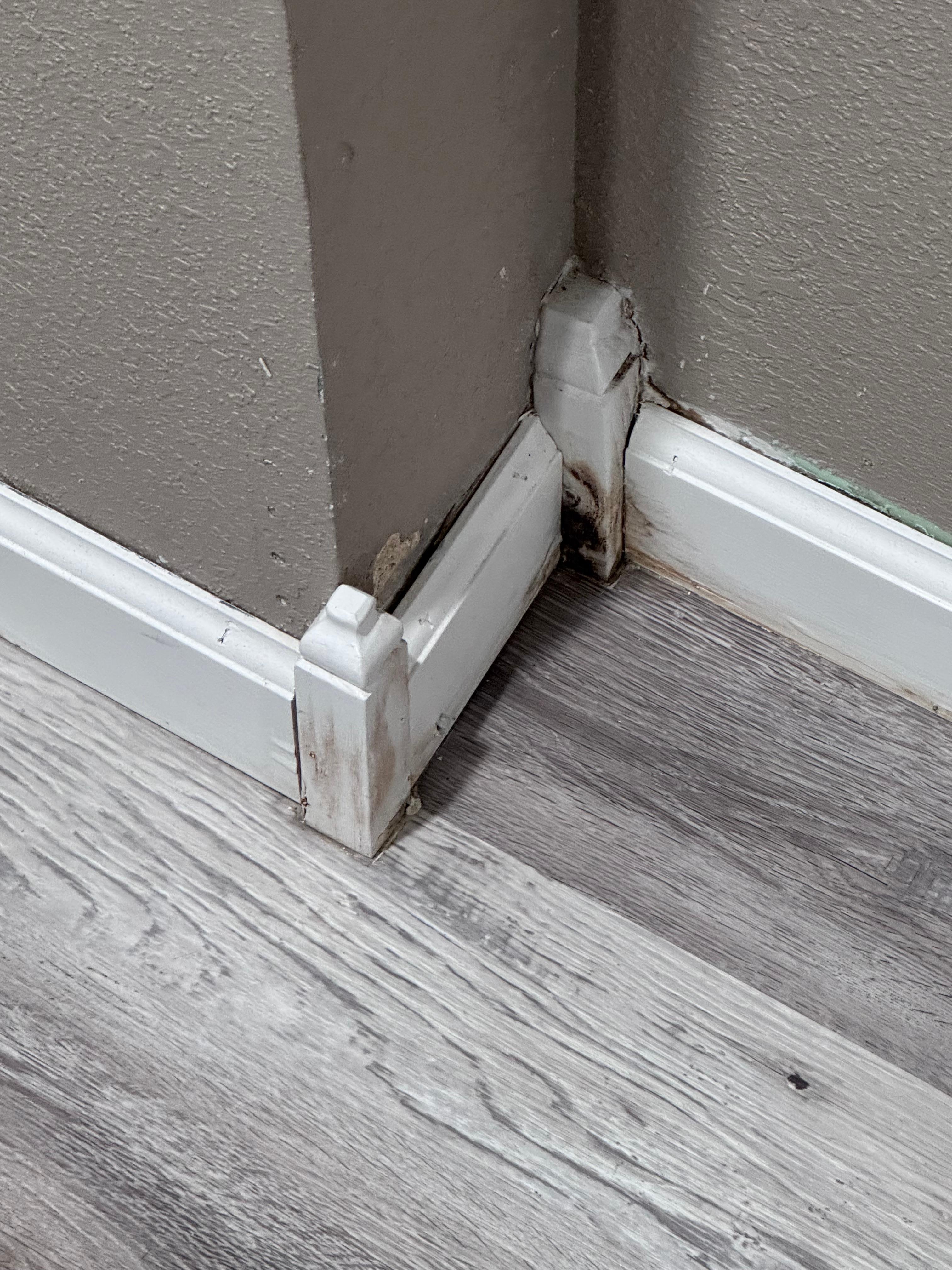 Downstairs in one the corner of the hallway where you could there was water damage and mold. 