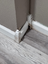 Downstairs in one the corner of the hallway where you could there was water damage and mold.