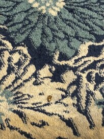 Left over sunflower seeds all over the carpet/floors in one of the bedrooms.