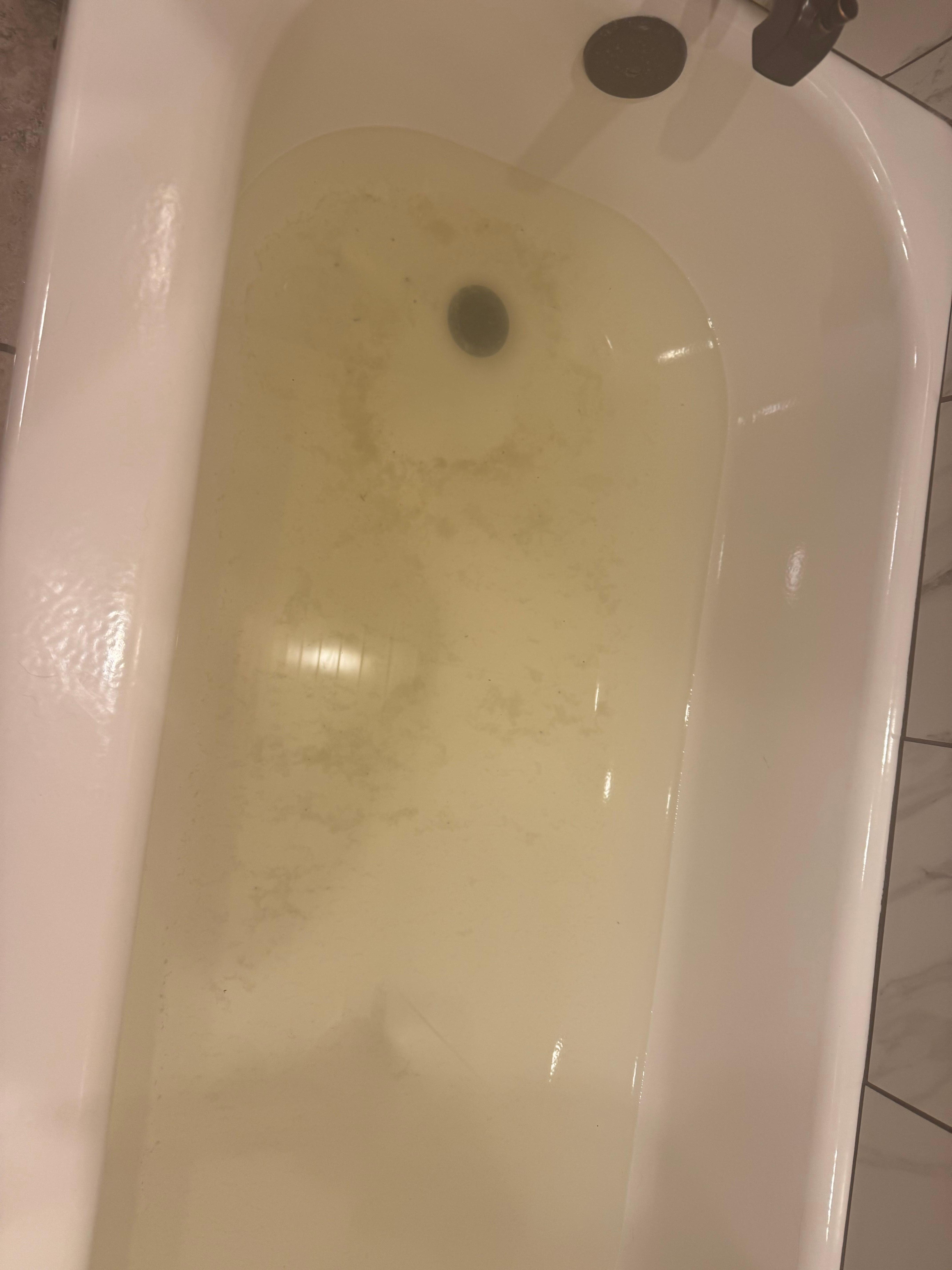 Backed up shower with sewage . Smells disgusting 