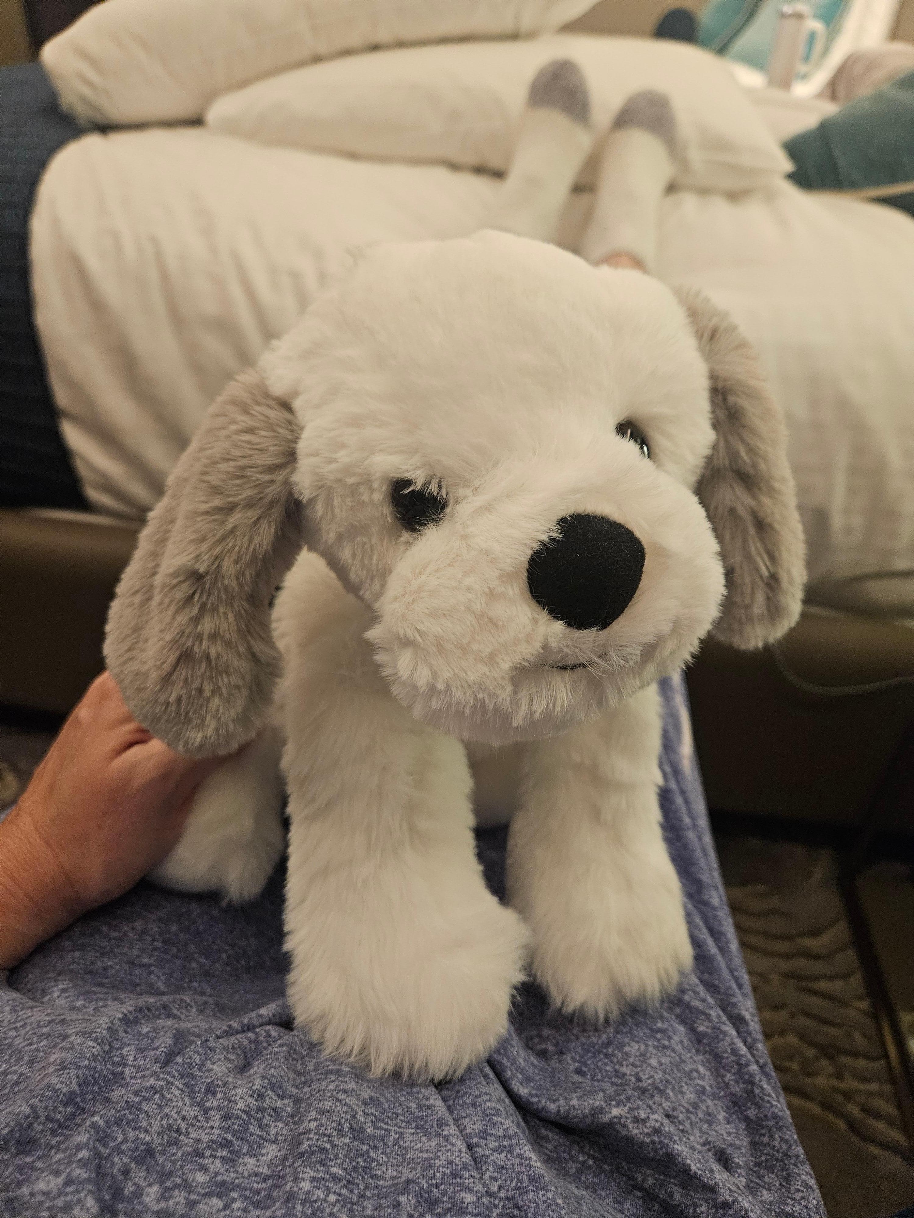 Baxter is a stuffed dog in the room.  The hotel coordinates with the ASPCA so if you take Baxter home they make a donation. 
