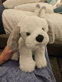 Baxter is a stuffed dog in the room.  The hotel coordinates with the ASPCA so if you take Baxter home they make a donation.