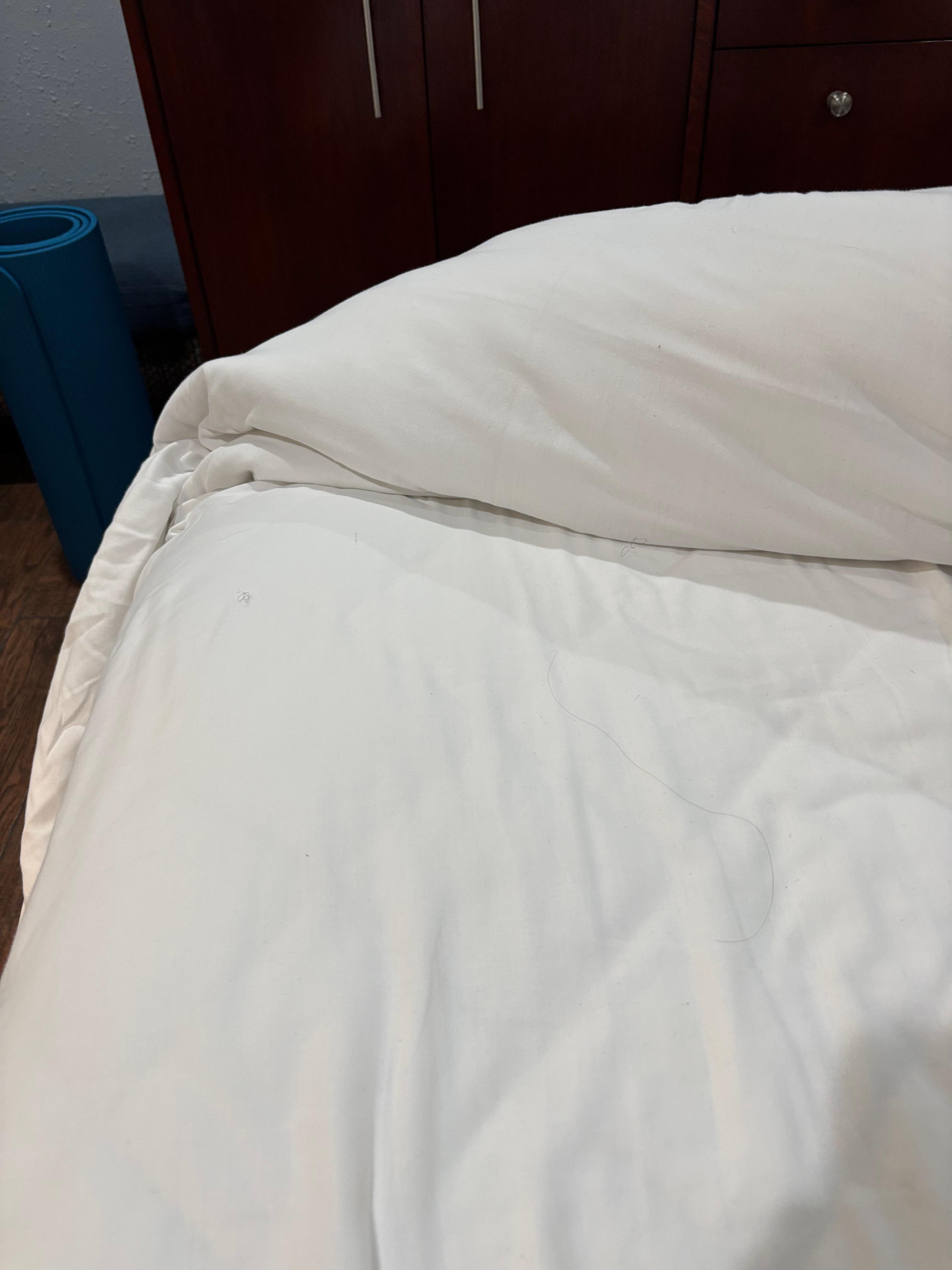 Discovered these after seeing others and investigating just how unclean is this bed. 