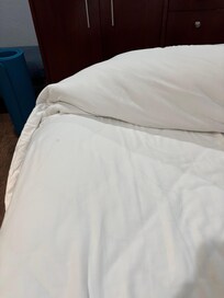 Discovered these after seeing others and investigating just how unclean is this bed.