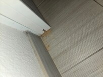 Wood shavings and dirty base boards