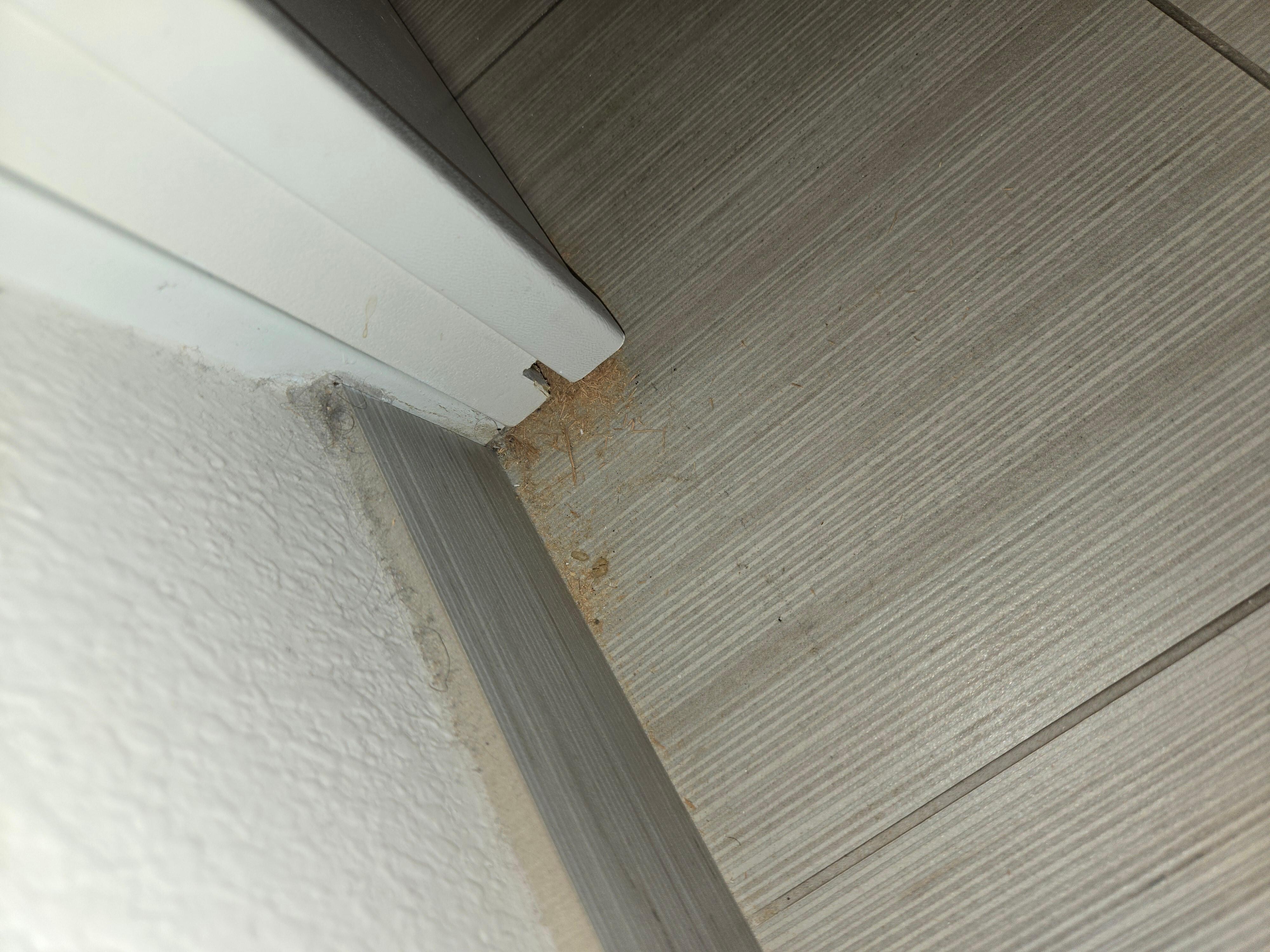Wood shavings and dirty base boards