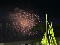 View of Disneyland’s fireworks from our hotel room.
