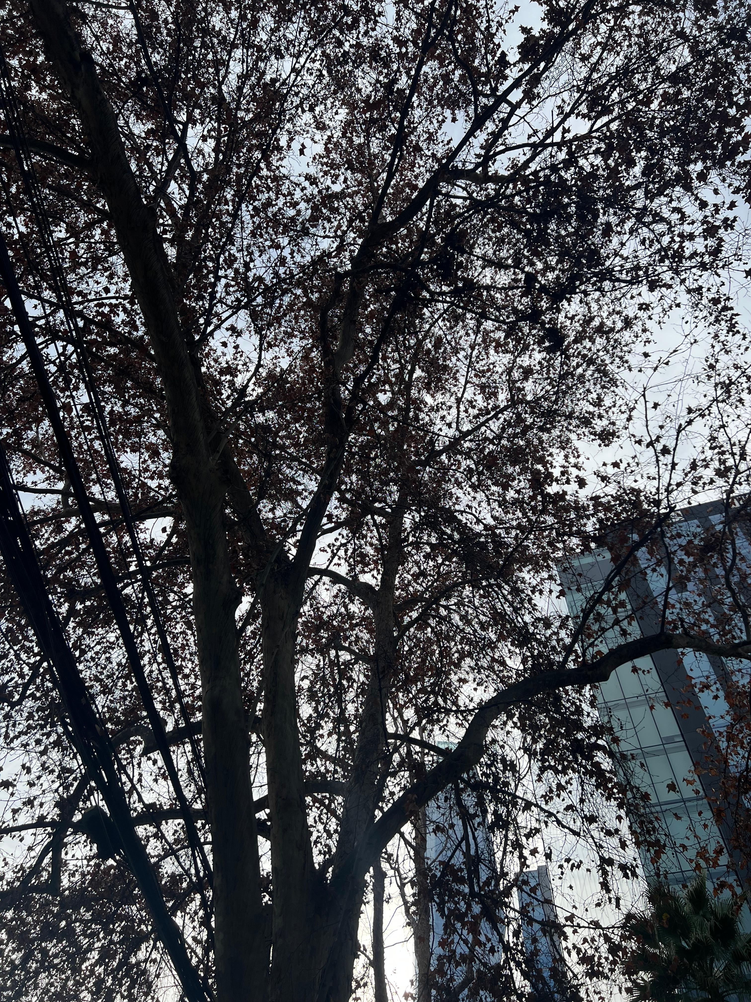 Da rua em frente ao hotel