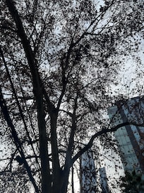 Da rua em frente ao hotel